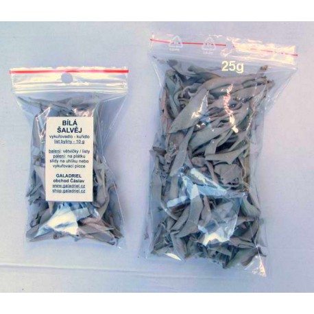 Šalvěj bílá - větvičky / listy 25 gramů Salvia Apiana