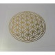 Květ života - zlatě-průhledná nálepka / emblém 3cm